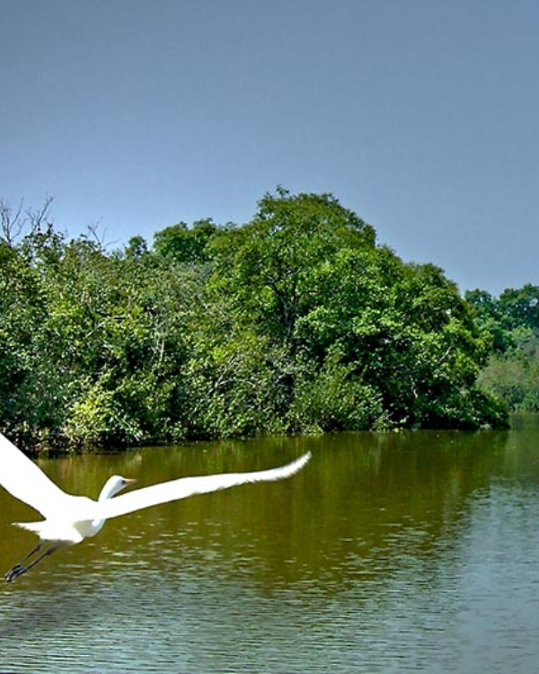 Bhitarkanika National Park