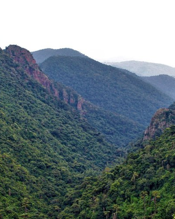 Mandasaru Gorge