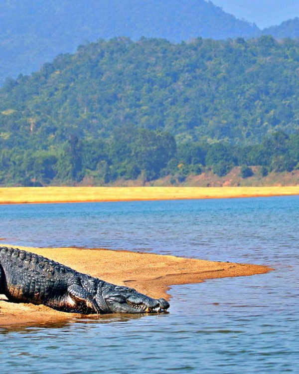 Satkosia Gorge Sanctuary